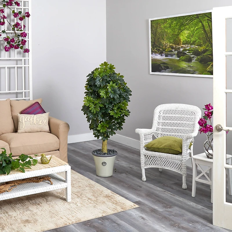 5ft. Umbrella Tree in Decorative Planter