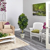 5ft. Umbrella Tree in Decorative Planter