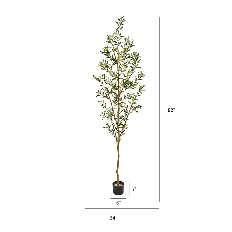 6.8ft. Potted Olive Tree