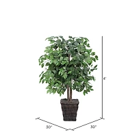 4ft. Artificial Ficus Bush with Square Willow Basket