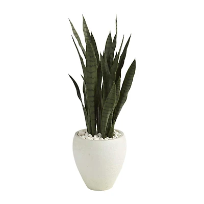 3ft. Snake Plant in White Planter
