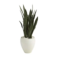 3ft. Snake Plant in White Planter