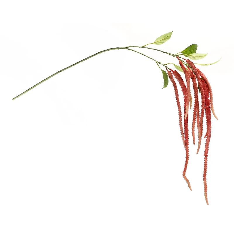 53.25" Red Amaranthus Floral Stems, 4ct.
