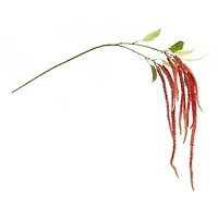 53.25" Red Amaranthus Floral Stems, 4ct.