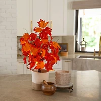 2ft. Pre-Lit Bright Autumn Maple Artificial Fall Tree with 24 Warm White LED Lights and Detachable Base