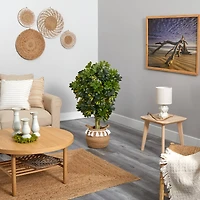 4ft. Schefflera Artificial Tree in Boho Chic Handmade Natural Cotton Woven Planter with Tassels (Real Touch)