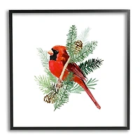 Stupell Industries Red Cardinal Pine Branch Minimal Bird Portrait Framed Wall Art