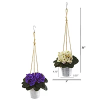 21" African Violet Plants in Hanging Buckets Set