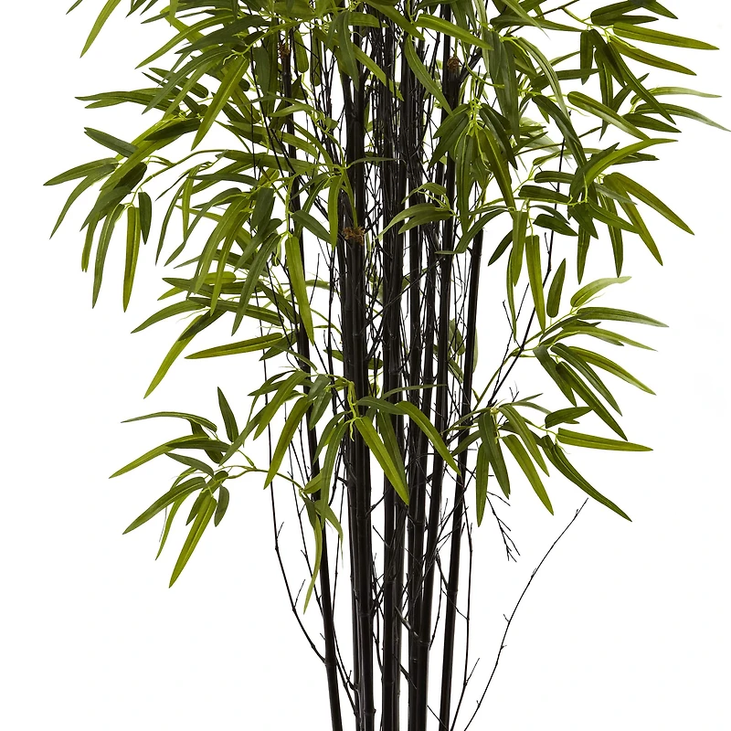 5ft. Potted Black Bamboo Tree