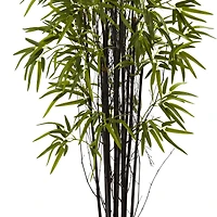 5ft. Potted Black Bamboo Tree