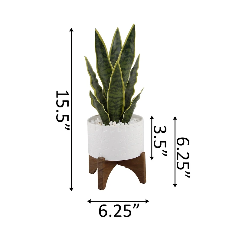 Flora Bunda® 15.5" Snake Plant In 5" Caveman Ceramic Planter