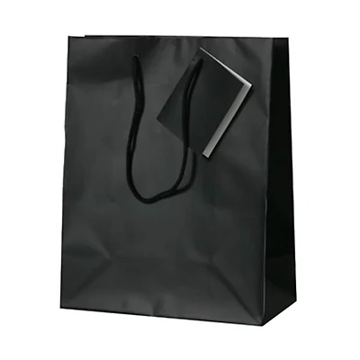 JAM Paper Medium Gift Bags with Rope Handles