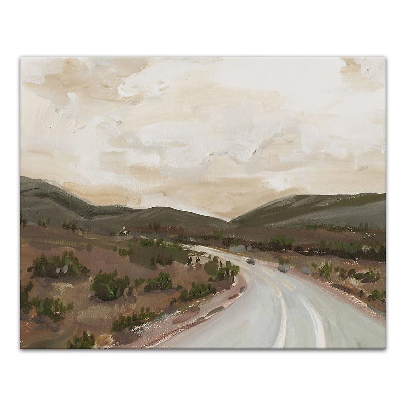 Mountain Roads 20" x 16" Canvas Wall Art