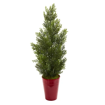 2ft. Mini Cedar Pine Tree in Red Cylinder Planter