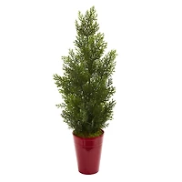 2ft. Mini Cedar Pine Tree in Red Cylinder Planter