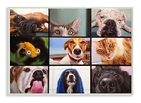 Stupell Industries Animal Video Chat Meeting Office Pet Humor Wall Plaque