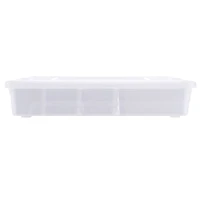 5qt. Storage Case by Simply Tidy®