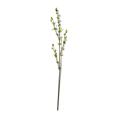 Green Willow Stem by Ashland®