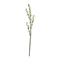 Green Willow Stem by Ashland®