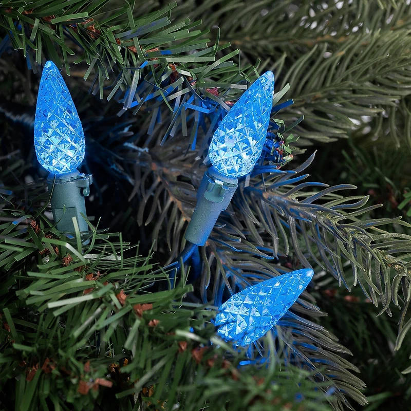 70ct. LED Faceted C6 Christmas String Lights