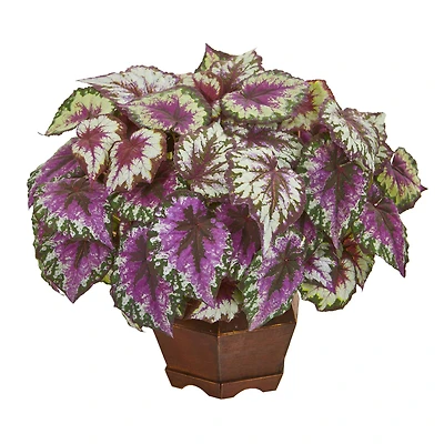 19" Wax Begonia in Decorative Planter