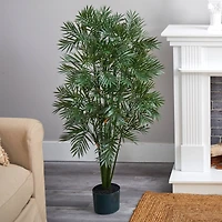 4ft. Potted Parlour Palm Tree