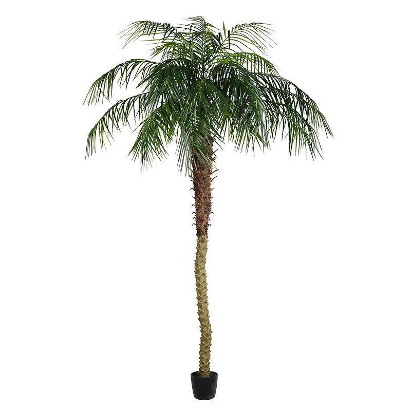 8ft. Potted Phoenix Palm Tree