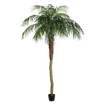 8ft. Potted Phoenix Palm Tree