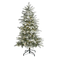 5ft. Pre-Lit Nova Scotia Spruce Artificial Christmas Tree, Warm White LED Lights