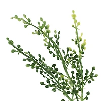 14" Berry Bush by Ashland