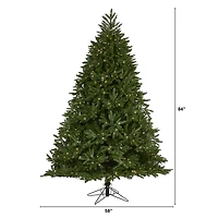 7ft. Pre-Lit Oregon Spruce Artificial Christmas Tree with Multifunction Warm White Microdot LED Lights with Instant Connect Technology