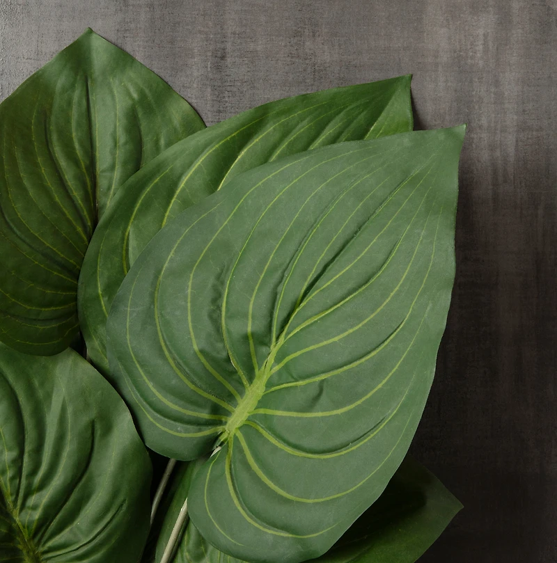 23" Green Real Touch Hosta Bush by Ashland®