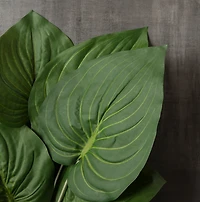 23" Green Real Touch Hosta Bush by Ashland®