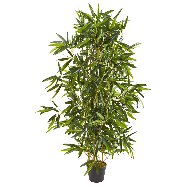 4ft. Potted Bamboo Tree