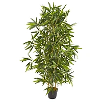4ft. Potted Bamboo Tree