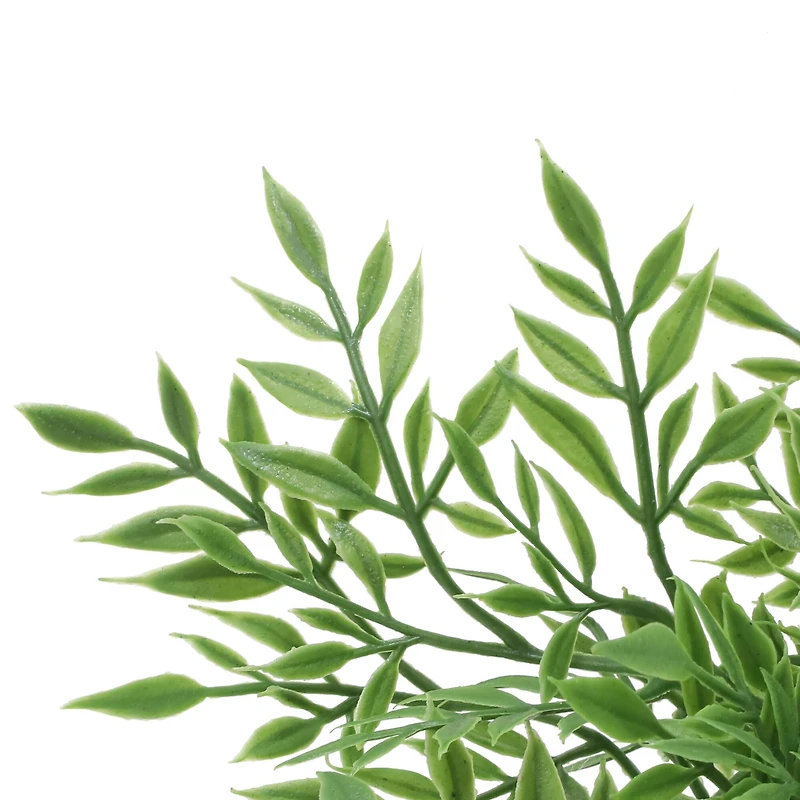 9.5" Mini Ficus in Green Bubble Pot by Ashland®