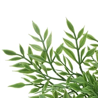 9.5" Mini Ficus in Green Bubble Pot by Ashland®