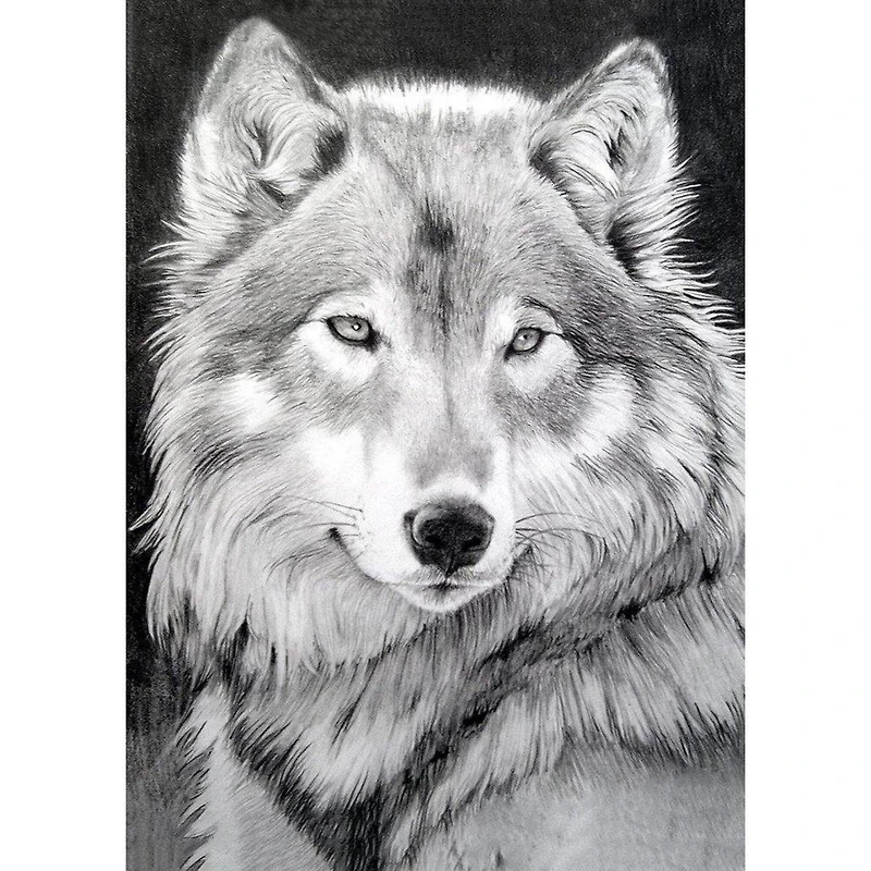 Crafting Spark Diamond Painting Kit Grey Wolf
