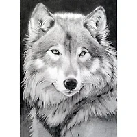Crafting Spark Diamond Painting Kit Grey Wolf 