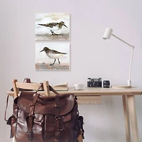 Stupell Industries Sandpipers on Coast Nautical Bird Beach Scene Wood Wall Plaque