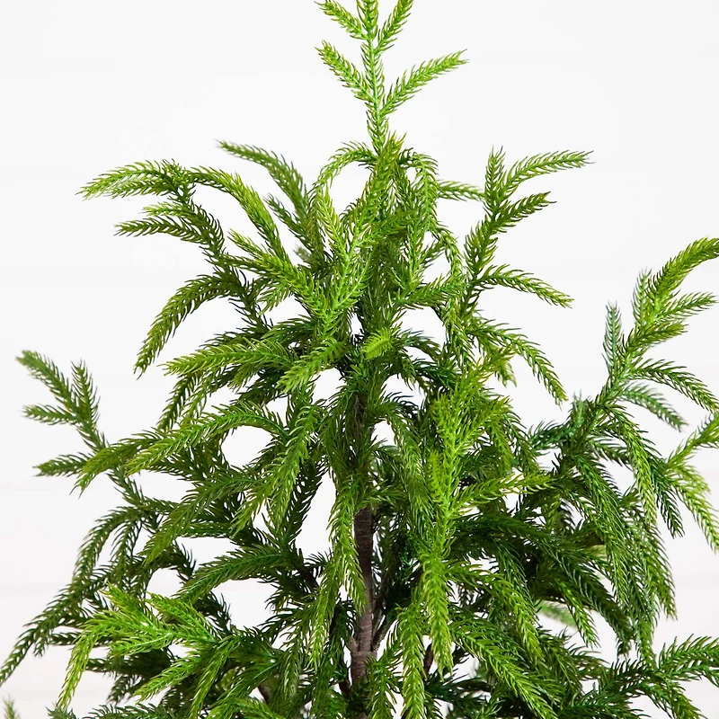 4ft. Unlit Norfolk Pine Artificial Potted Christmas Tree