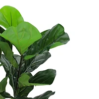 2.4ft. Potted Dark Green Fiddle Leaf Fig Plant