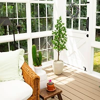 4ft. UV Artificial Podocarpus Artificial Tree (Indoor/Outdoor)