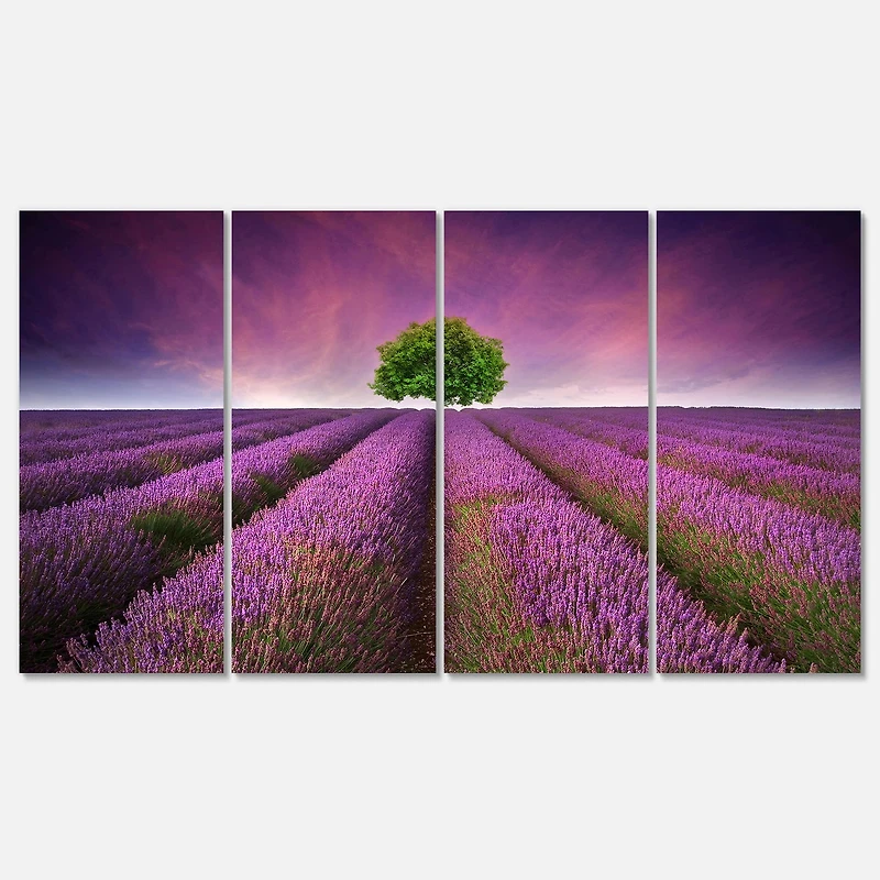 Designart - Lavender Field Sunset with Single Tree