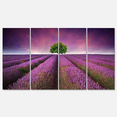 Designart - Lavender Field Sunset with Single Tree
