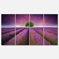 Designart - Lavender Field Sunset with Single Tree