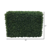 3ft. Green Cedar Hedge