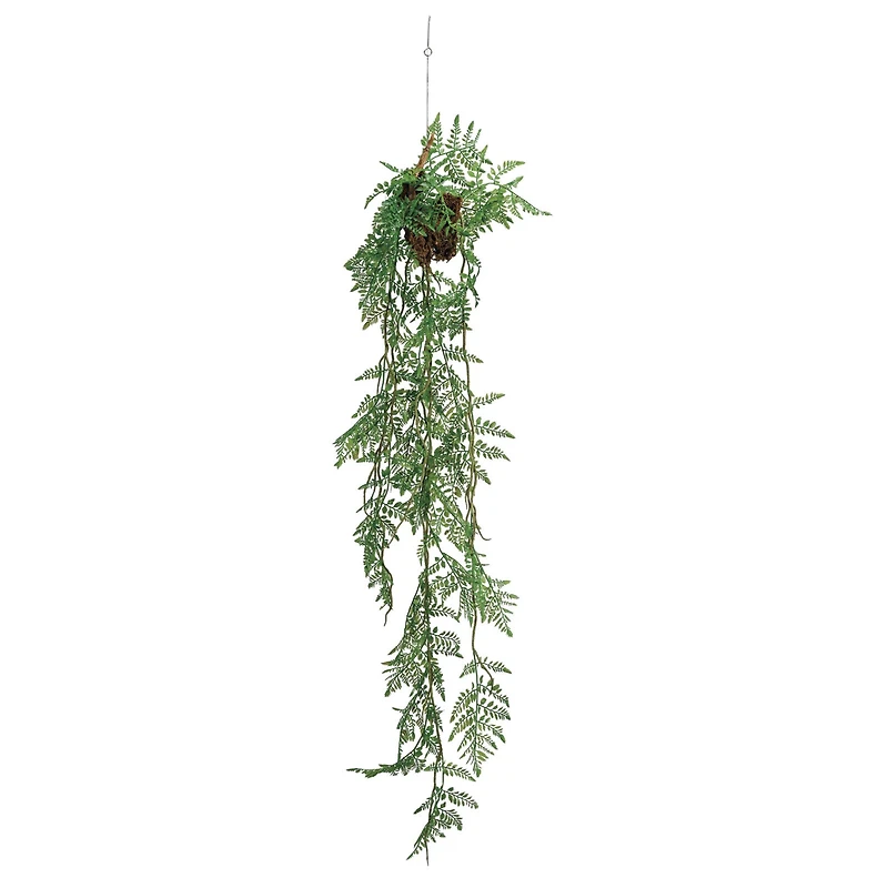 Hello Honey® 44" Verdant Green Hanging Kokedama