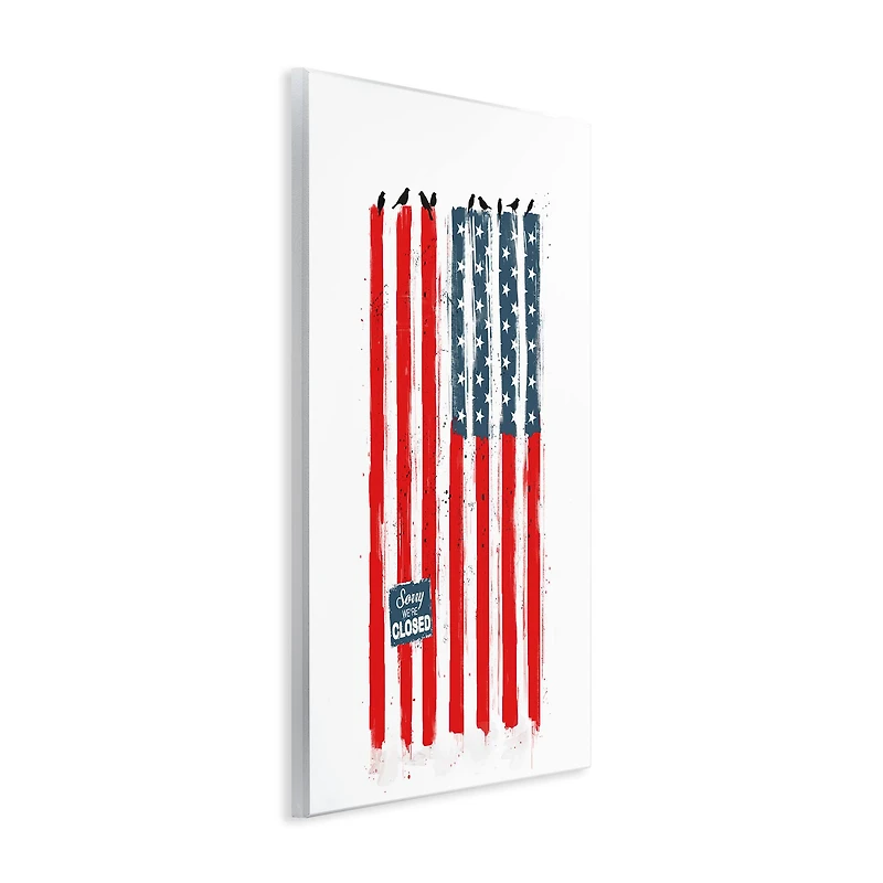 Stupell Industries American Flag Birds on Wall Political Statement Wall Plaque Art