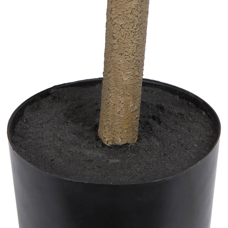 6ft. Potted Green Nandina Tree